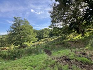 Photo 2- click for photo gallery